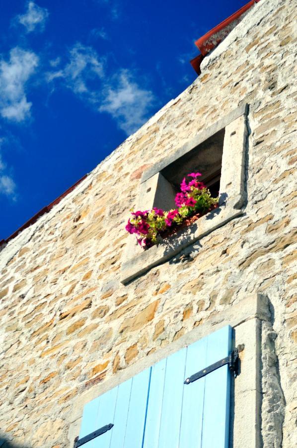 Ruine-Motovun Kh Vila Exterior foto